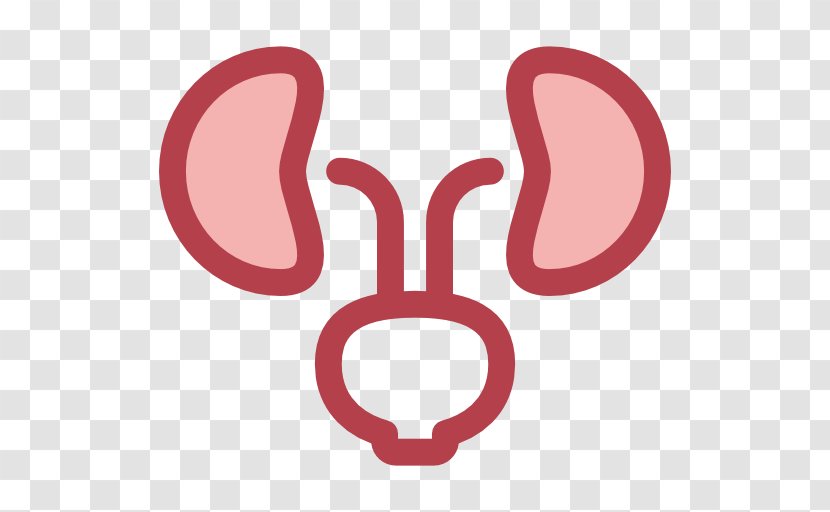 Urology Medicine Kidney Surgery Health - Nursing Transparent PNG