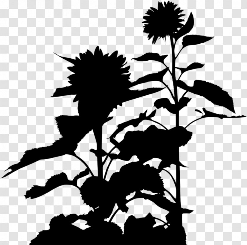 Clip Art Silhouette Plant Stem Flowering - Leaf Transparent PNG