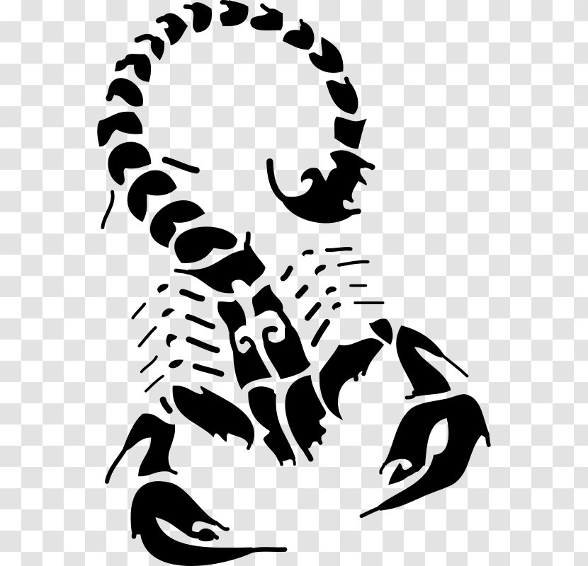 Scorpion Tattoo Flash Clip Art - Black Transparent PNG
