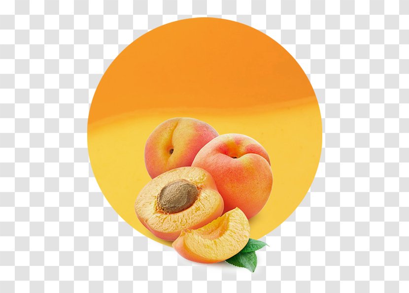 Apricot Kernel Flavor Dried - Sucrose Transparent PNG