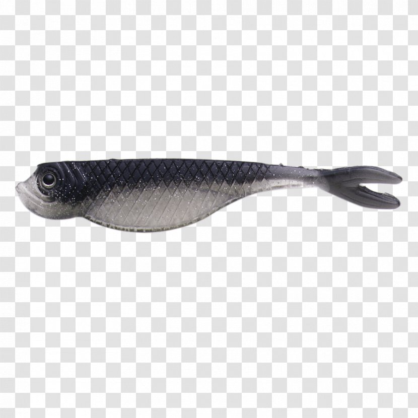 Herring Fish - Twiggy Transparent PNG