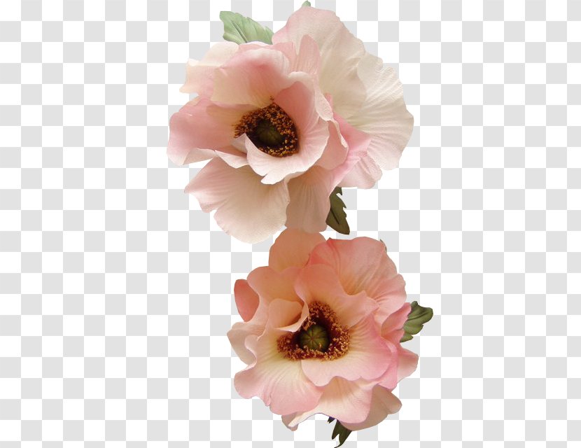 Cabbage Rose Flower Poppy Petal Clip Art - Pink Transparent PNG