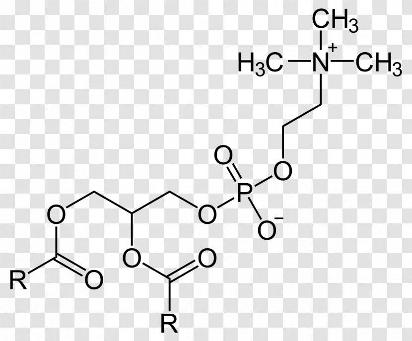 Lecithin–cholesterol Acyltransferase Lysophosphatidylcholine Phosphatidylserine - Heart - Cartoon Transparent PNG