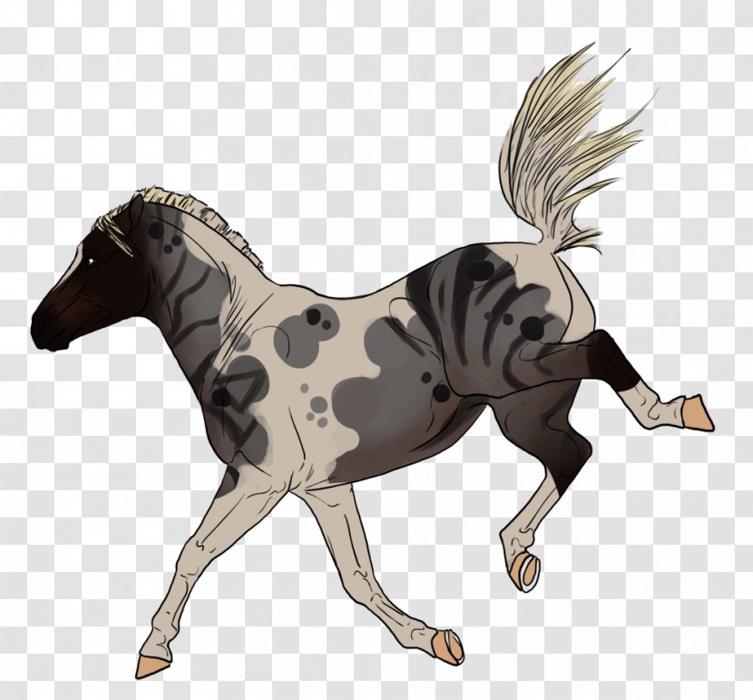 Mustang Stallion Foal Mare Colt - Horse Tack Transparent PNG