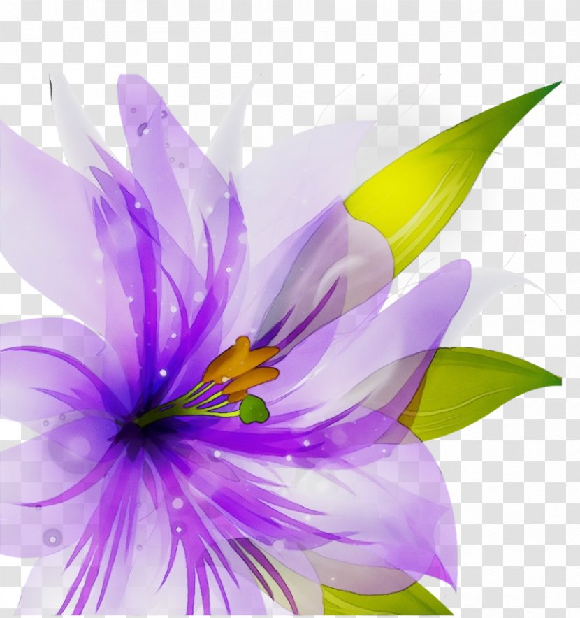 Purple Watercolor Flower - Petal - Herbaceous Plant Wildflower Transparent PNG