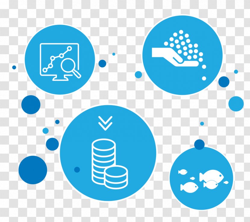 Data Mining Aquaculture Knowledge - Information - Fish Farm Transparent PNG