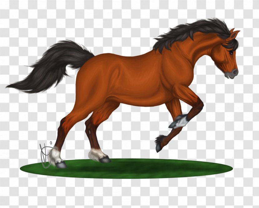 Mane Mustang Stallion Foal Mare - Bridle Transparent PNG