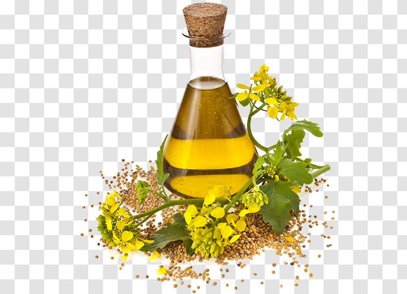 Canola Cooking Oils Rapeseed Seed Oil - Corn - Sunflower Transparent PNG