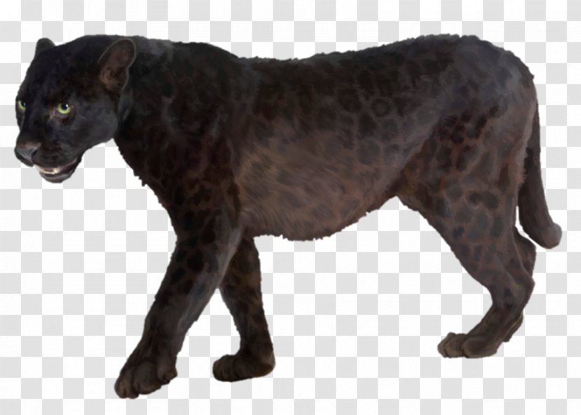 Leopard Jaguar Black Panther Stock Photography - Terrestrial Animal Transparent PNG