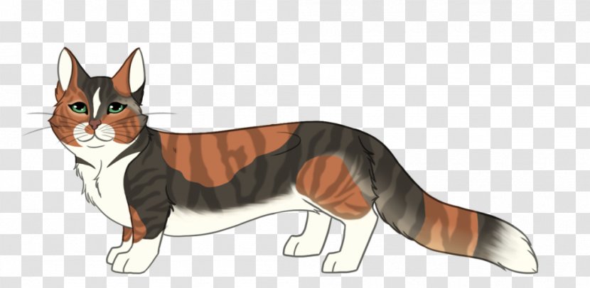 Whiskers Cat Dog Breed Red Fox - Animal Transparent PNG