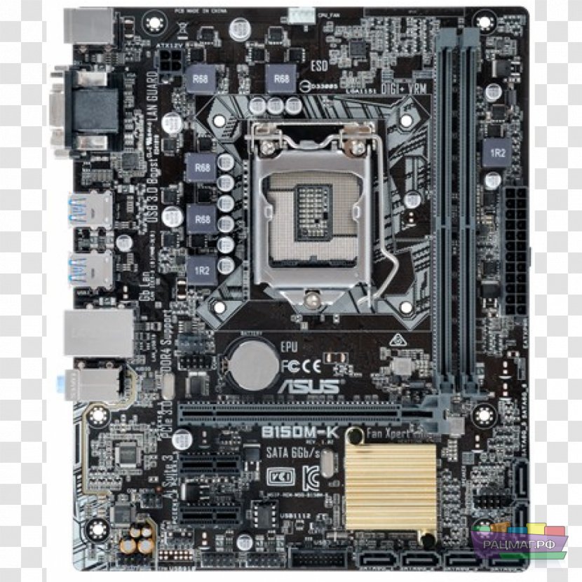 Intel MicroATX Motherboard LGA 1151 CPU Socket - Electronics Transparent PNG