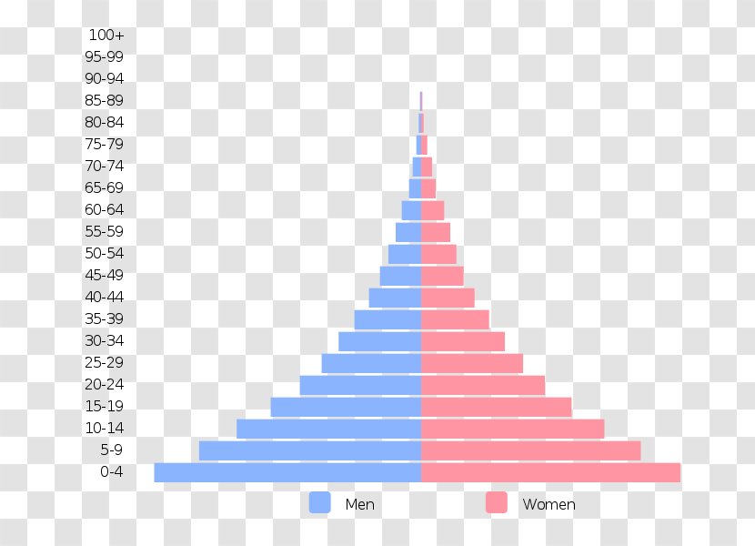 Population Pyramid World Demography Growth - Demographic Transition Transparent PNG