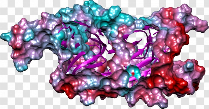 Art Pink M Organism RTV - Gamma Globulin Transparent PNG