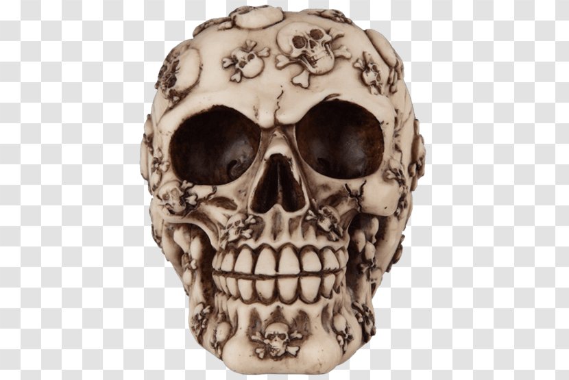 Skull Buccaneer Piracy Treasure Skeleton - Calico Jack Transparent PNG