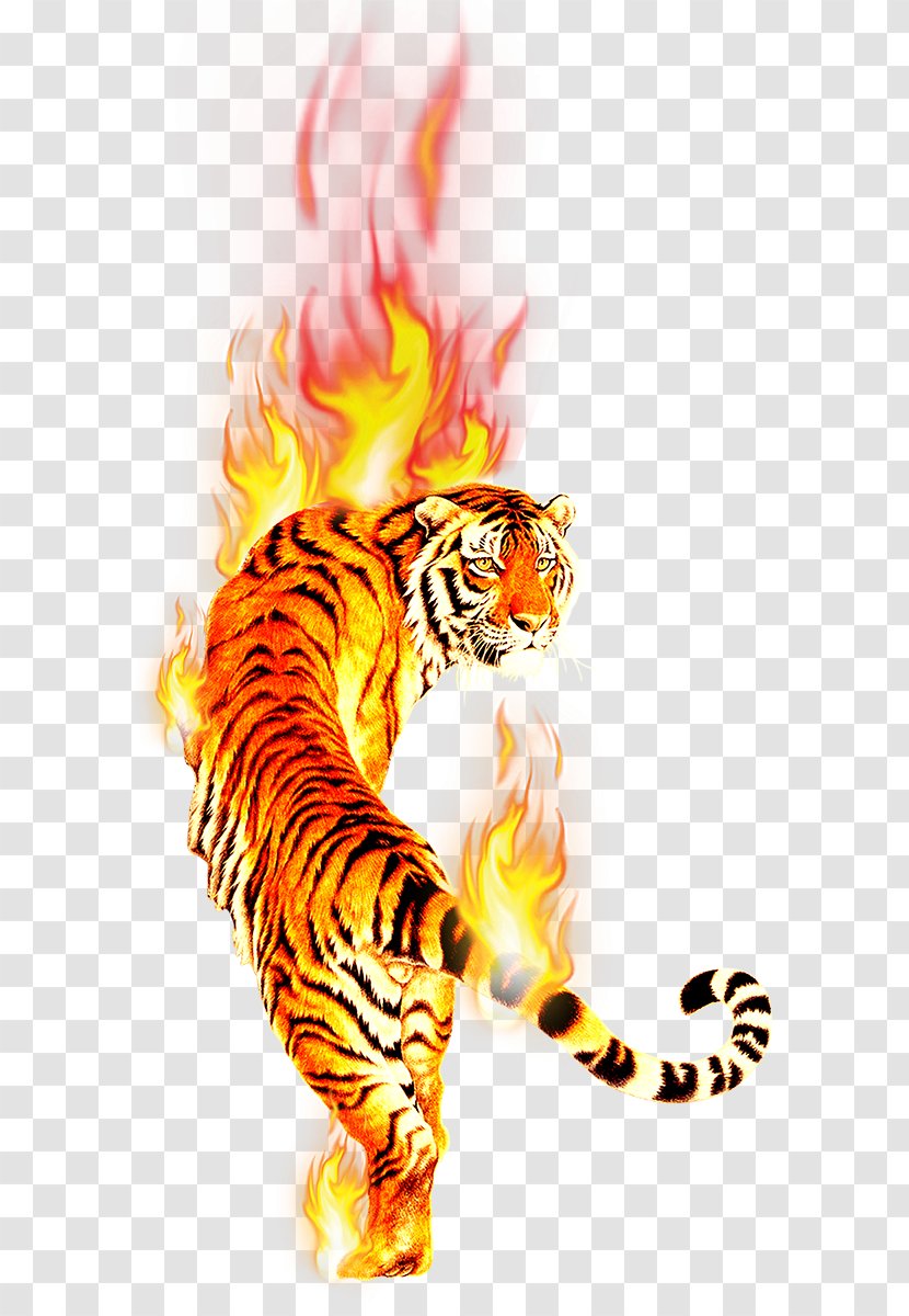 Tiger Desktop Wallpaper Clip Art Image - Cat Like Mammal Transparent PNG