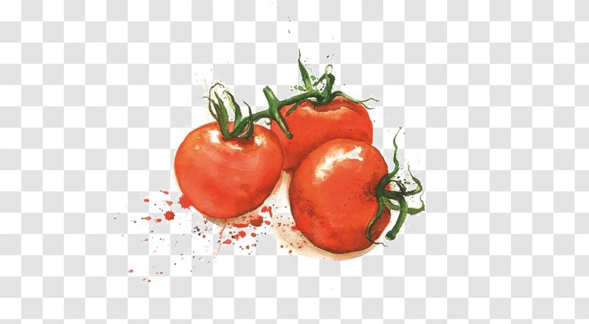 Tomato Varenye Fruit Vegetable Illustration - Preserves - Watercolor Transparent PNG