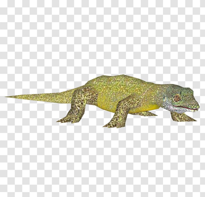 Agamidae Gecko Terrestrial Animal Transparent PNG