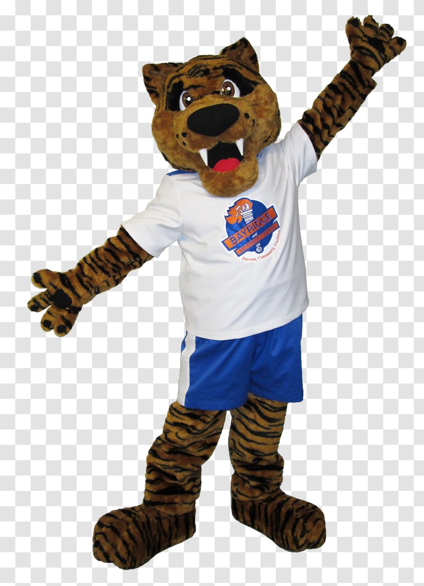 Mascot National Secondary School Costume College - Cat Like Mammal Transparent PNG