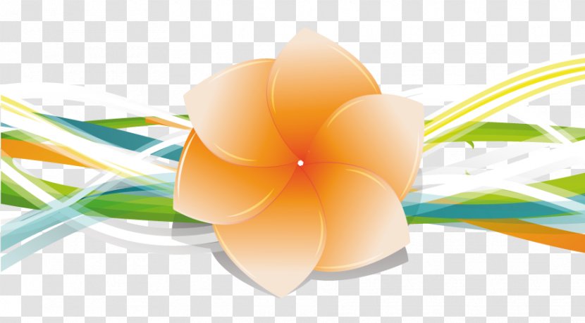 Vector Graphics Image Euclidean - Orange - Flower Transparent PNG