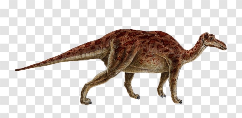 Maiasaura Late Cretaceous Dinosaur Size Bird Velociraptor Transparent PNG