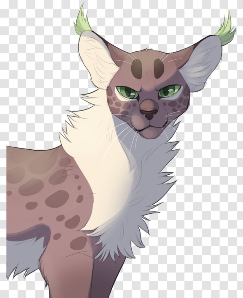Kitten Whiskers Cat Warriors Drawing - Paw Transparent PNG