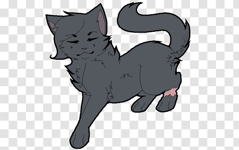 Cat Warriors Whiskers Cinderpelt - Black - Floating Gift Transparent PNG