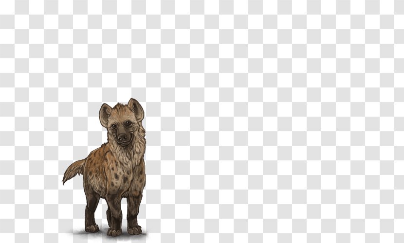 Cairn Terrier Spotted Hyena Lion Puppy - Canidae Transparent PNG