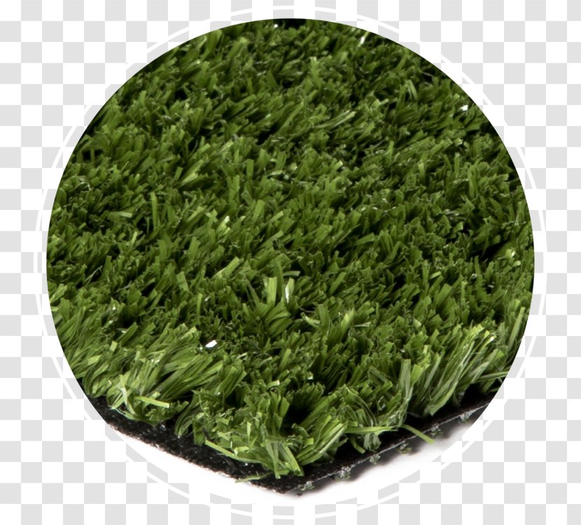 Artificial Turf Lawn Golf Course Bentgrass - Indoor Football - Green Transparent PNG