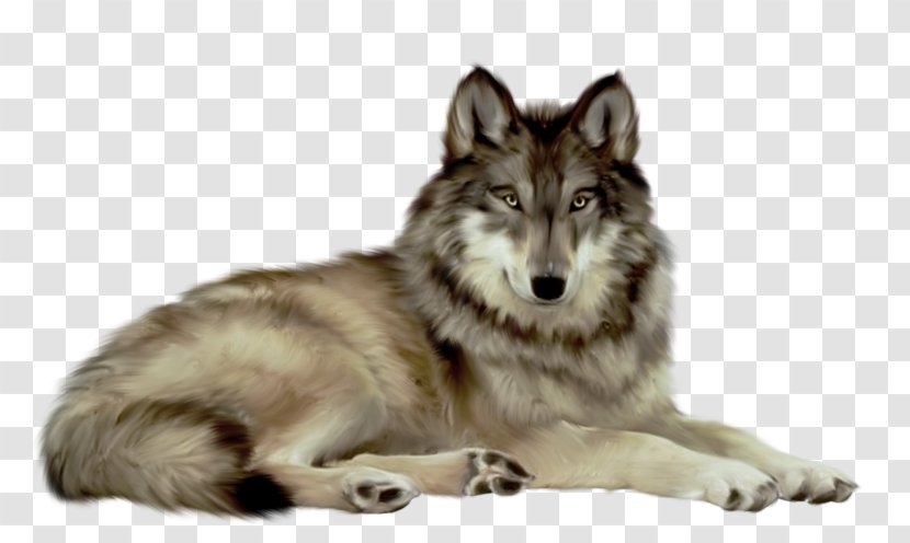 Saarloos Wolfdog Clip Art Czechoslovakian - Northern Inuit Dog - Black And White Wolf Transparent PNG