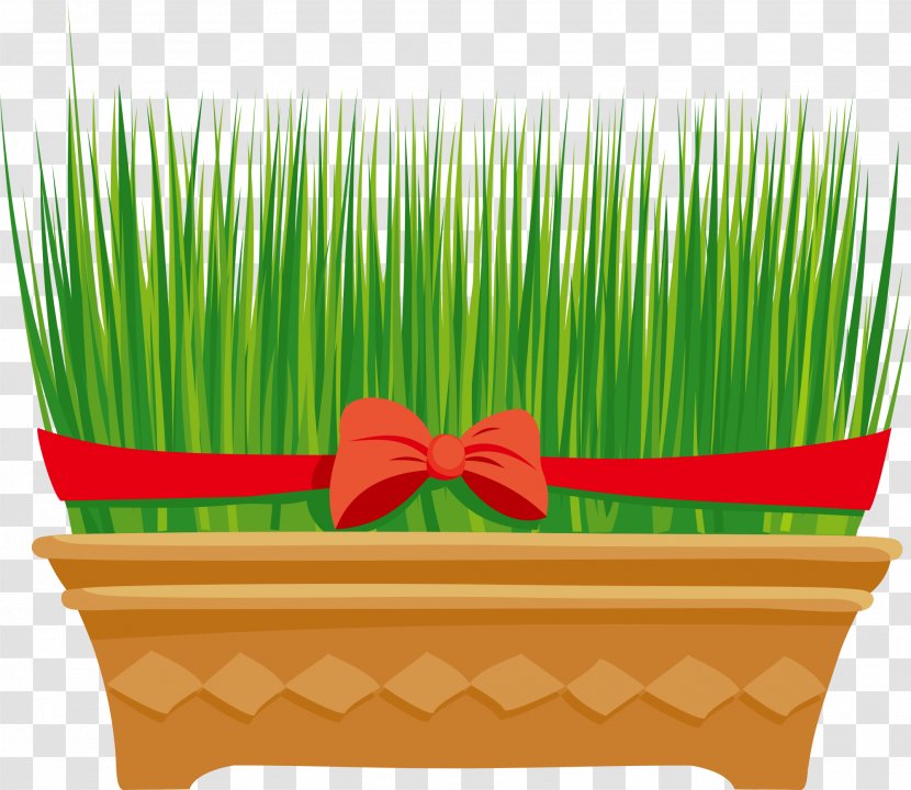 Floral Design - Grass - Family Transparent PNG