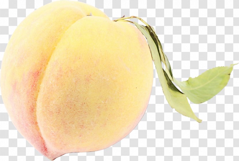 Food Plant Fruit - Wet Ink Transparent PNG