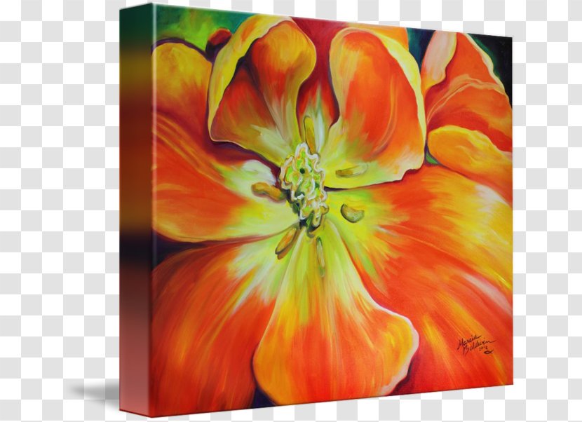 Tulip Still Life Photography Acrylic Paint Netherlands - Printing Transparent PNG