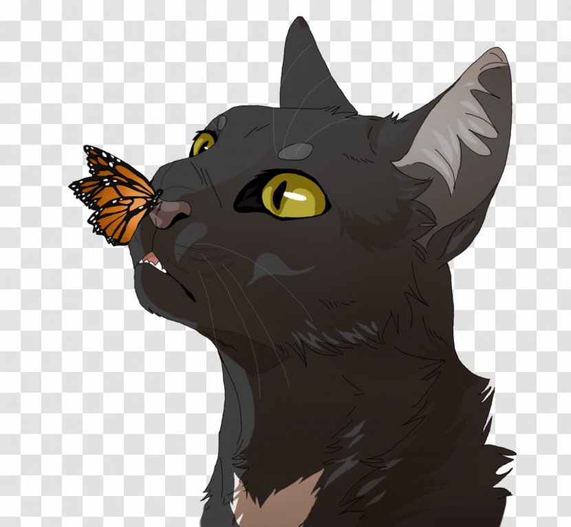 Domestic Short-haired Cat Whiskers Ravenpaw Warriors - Short Haired Transparent PNG