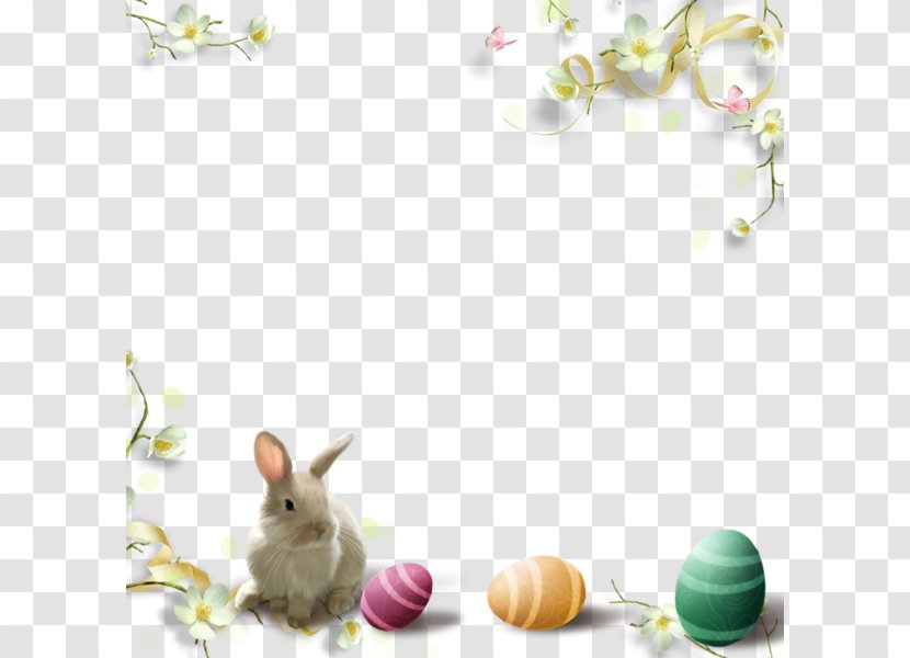 Easter Picture Frame Tableau Child - Small Fresh Decorative Pattern Rabbit Eggs Transparent PNG