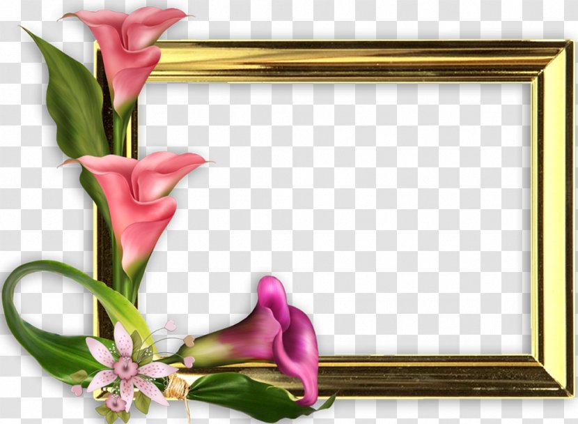 Mother's Day International Women's Woman Picture Frames - Flower Arranging Transparent PNG