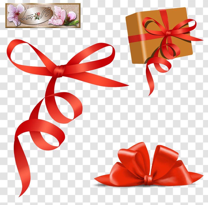 Ribbon Product Design Gift Font Transparent PNG