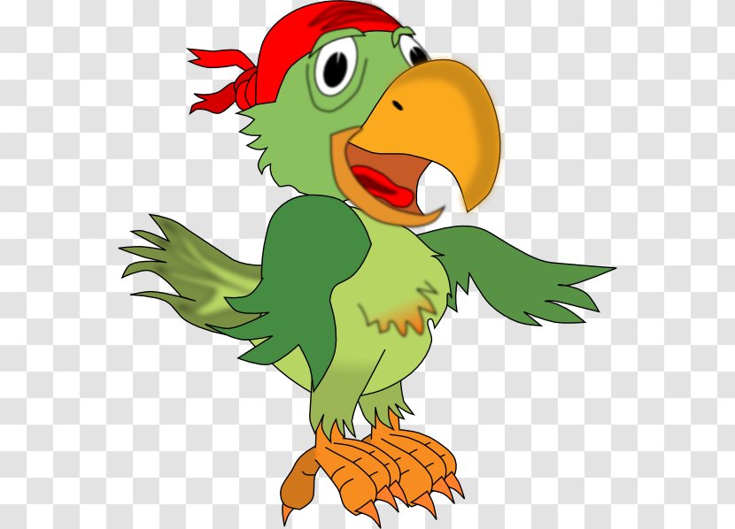 MacNider Art Museum Parrot Jokes: Clean Jokes Chicken - Jokester - Pirate Transparent PNG