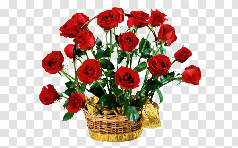 Mother's Day Floristry - Plant - Red Roses Transparent PNG
