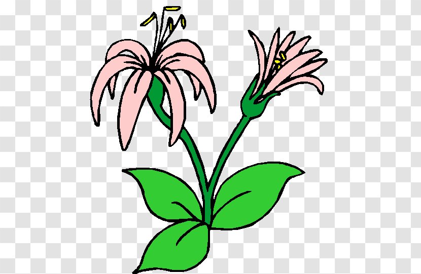 Floral Design Cut Flowers Plant Stem Leaf Herbaceous - Trik Transparent PNG