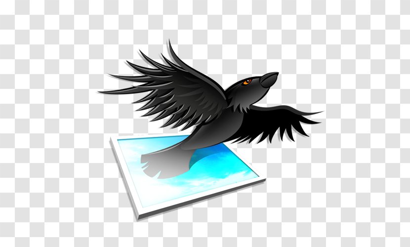 Aviary Image Editing Photography - Beak - Bird Transparent PNG
