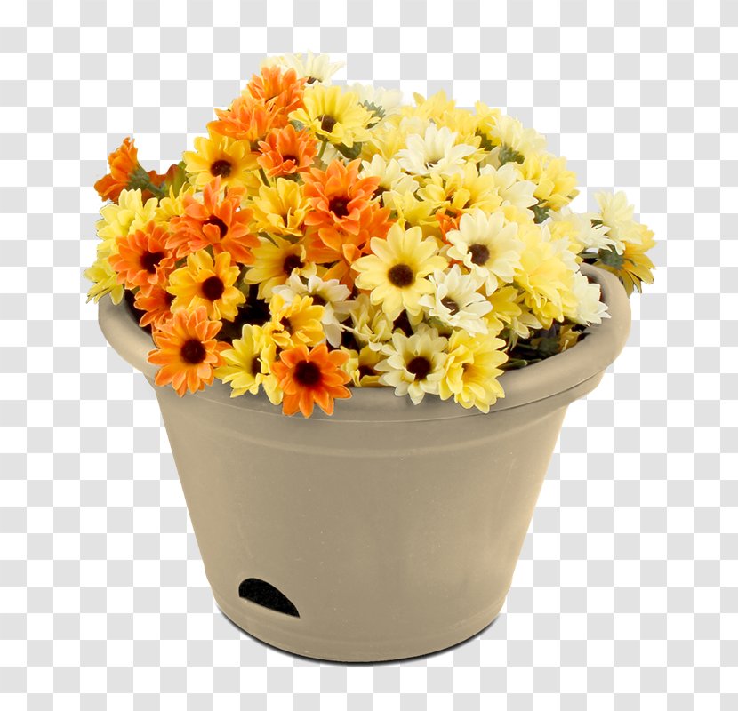 Transvaal Daisy Floral Design Flowerpot Cut Flowers - Chrysanthemum - Flower Transparent PNG