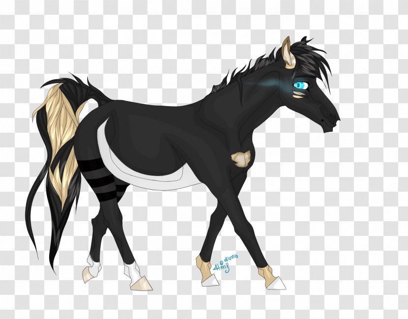 Mustang Foal Stallion Colt Mare - Neck Transparent PNG