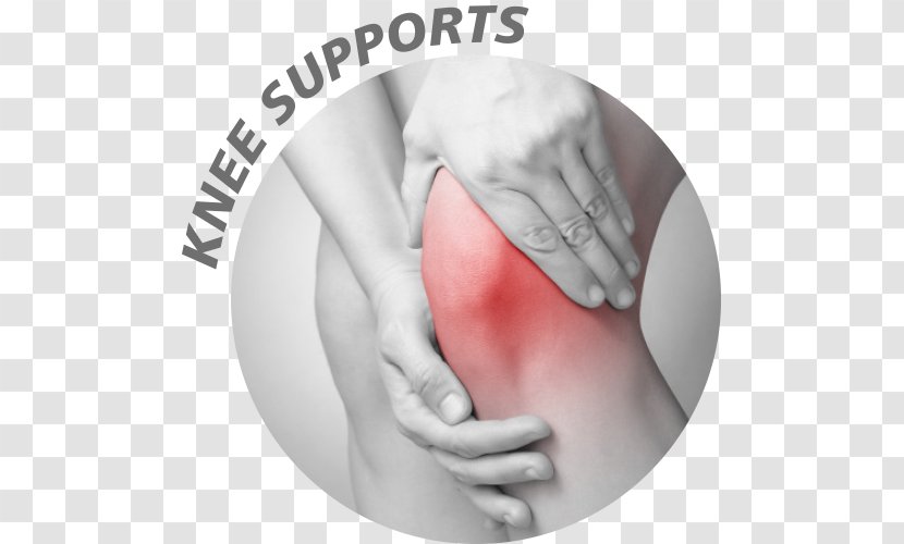 Zazzle Paper Physical Therapy Knee Joint - Medicine - Patella Transparent PNG