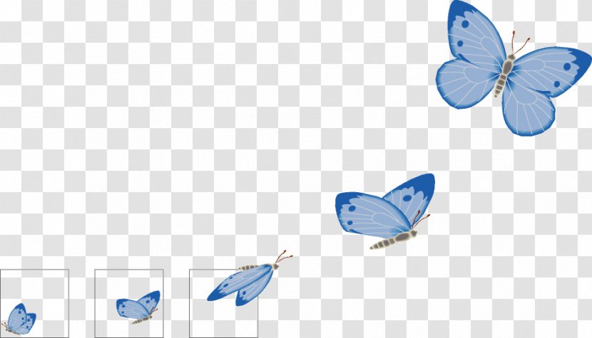 Butterfly Mahamassage M / 0d Email - Address - Fight Flight Freeze Transparent PNG