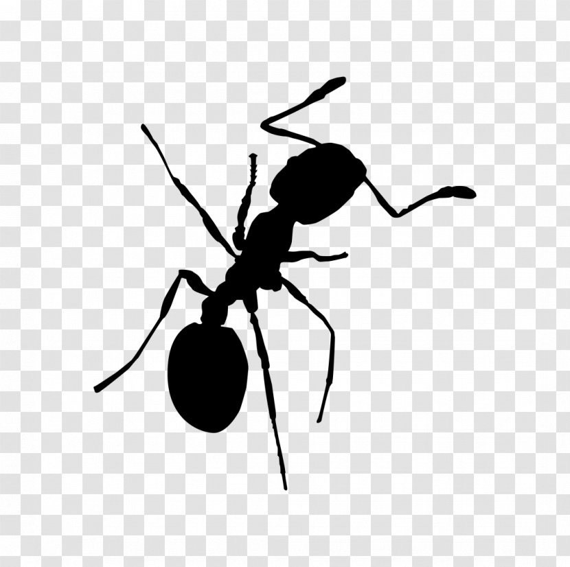 Red Imported Fire Ant Insect Cockroach Pest - Monochrome Transparent PNG