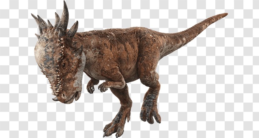 Velociraptor Jurassic World Evolution Pachycephalosaurus Stygimoloch Park - Carnotaurus Transparent PNG