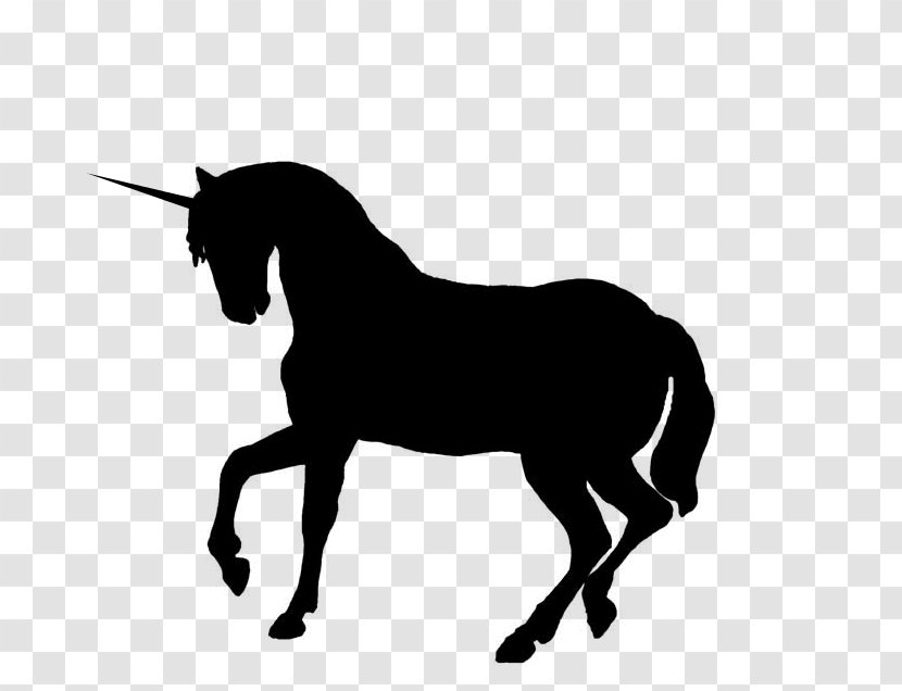 Horse Foal Stallion Silhouette Clip Art - Rearing - Unicorn Head Transparent PNG