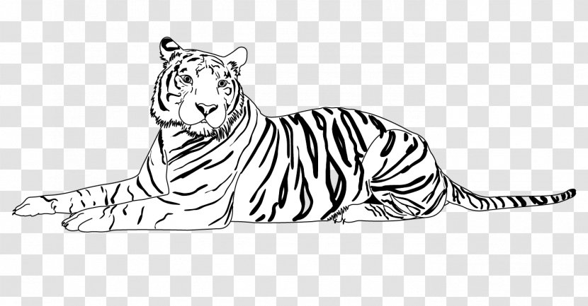 Tiger Whiskers Lion Cat Line Art - Animal Figure Transparent PNG