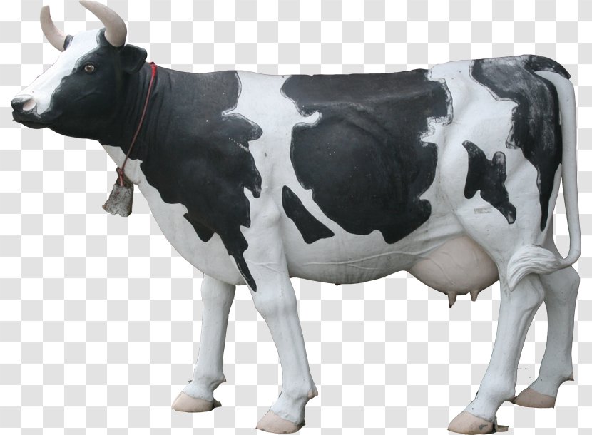 Dairy Cattle Milk Wright - Cow - Cheese Transparent PNG