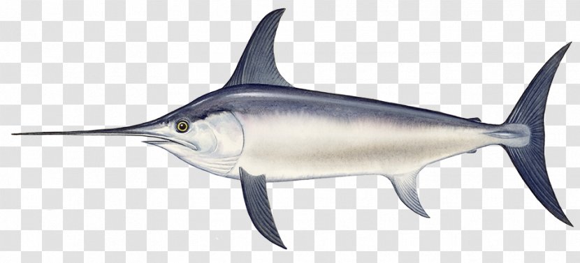 Swordfish Black Sea Seafood - Marlin Transparent PNG